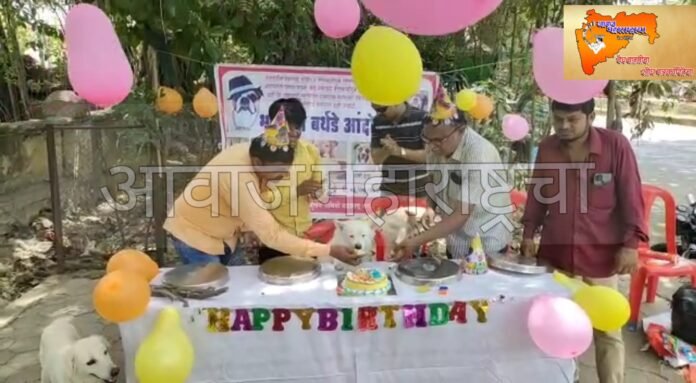 IMG_20220516_16392103